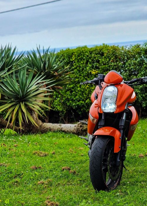 Kawazaki er6n (650cc)