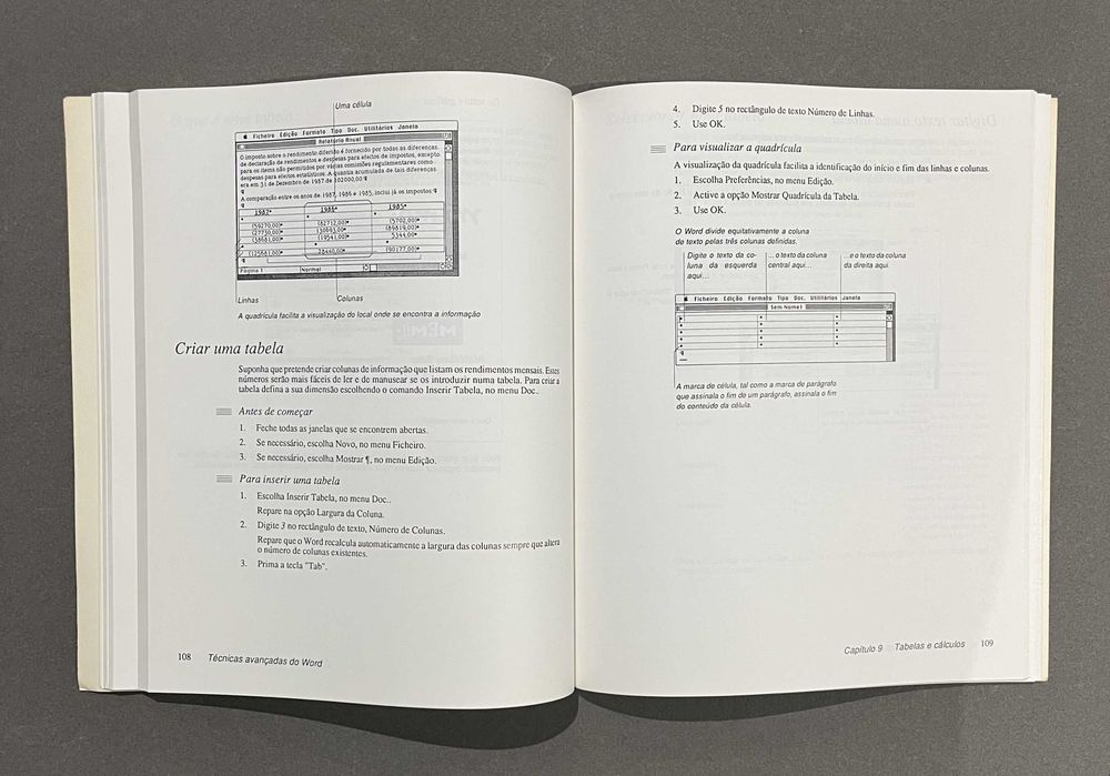 Livro Microsoft Word