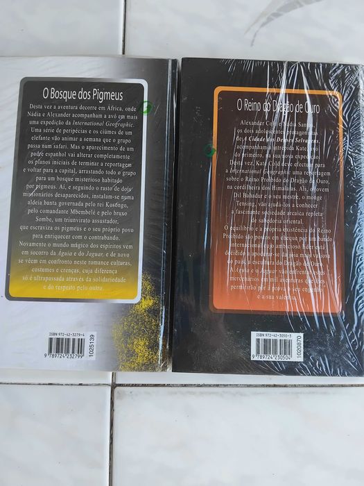 2 Livros 13/20 de Romance de Isabel Allende - CL