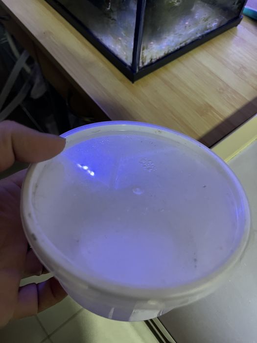 Vendo musgo de java