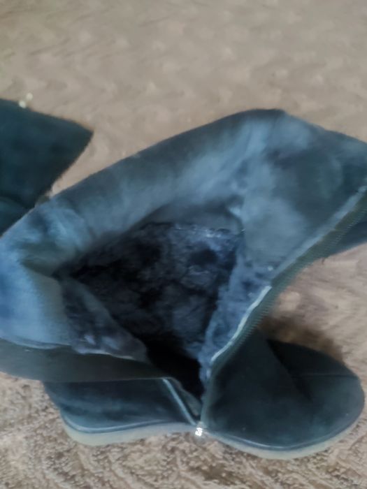 Сапоги женские замшевые