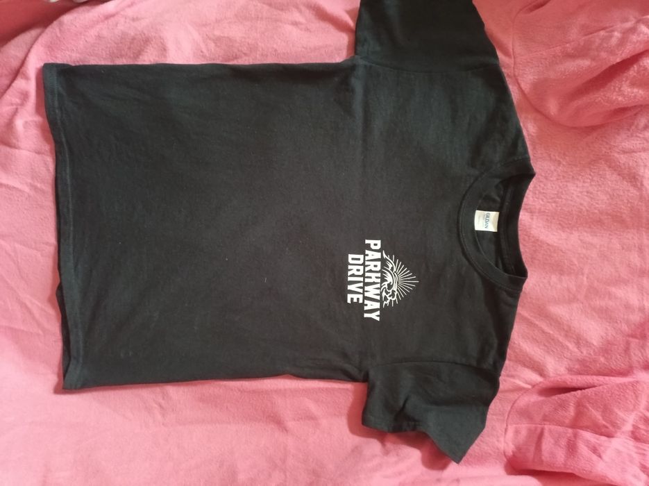 Футболка Parkway drive