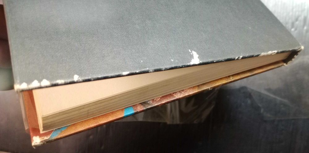 Livro O burro em pé * José Cardoso Pires