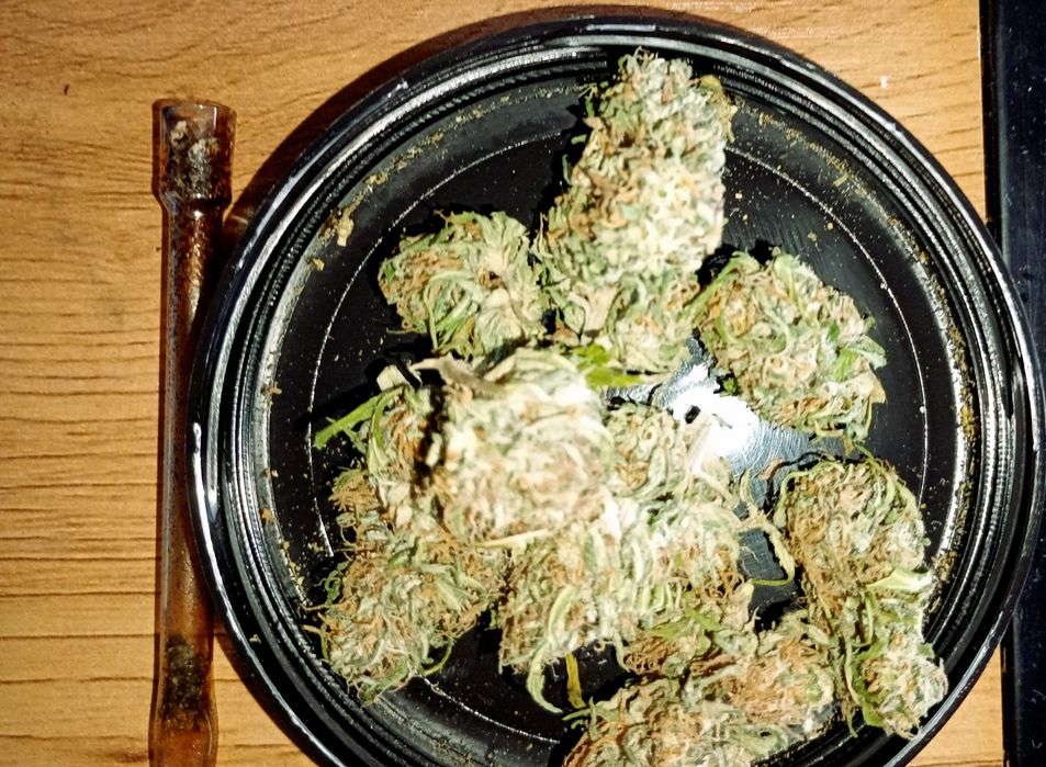 10g Island Sweet Skunk Susz Roślinny cbt cbl cbc Lot w kosmos! Działa