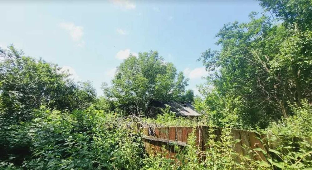 (8) Продається земельна ділянка в с. Дашківці 3573