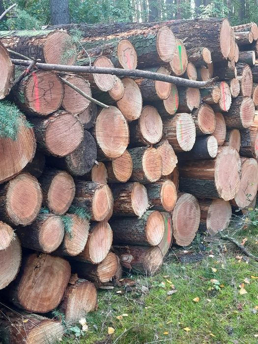 Drewno kominkowe i opałowe