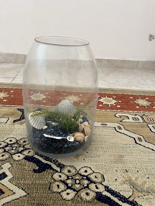 Aquário em Vidro com Decoração