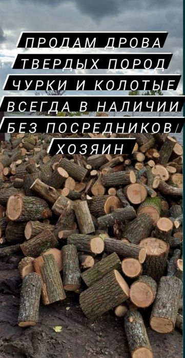 Продам сухие дрова твердых пород-Дуб. Всегда в НАЛИЧИИ.