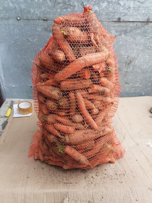 Marchew odpadowa paszowa 25 kilo