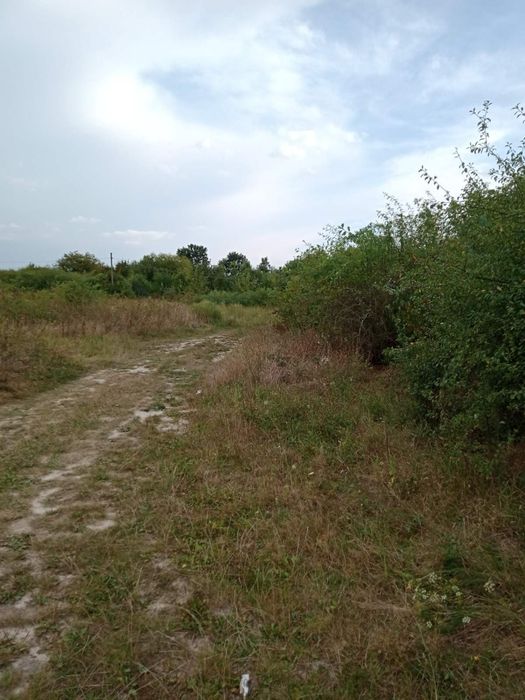 Продається земельна ділянка