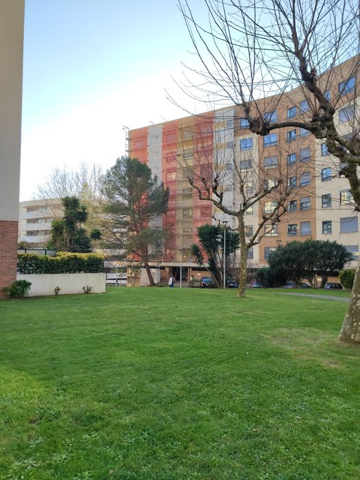 André Pinto Serviços de Jardinagem