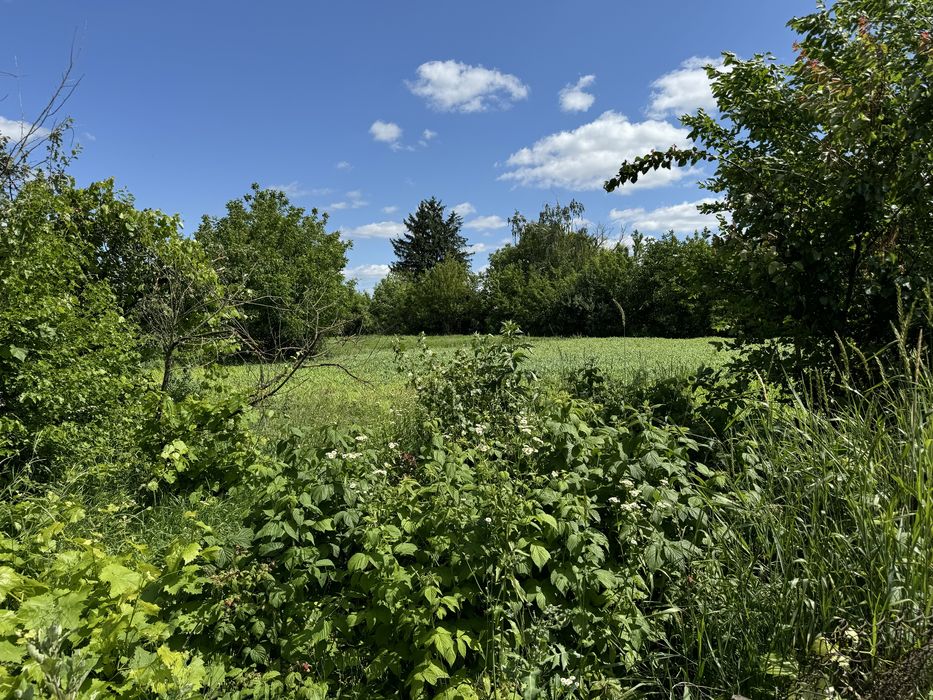 Будинок з магазином, 31сотих землі