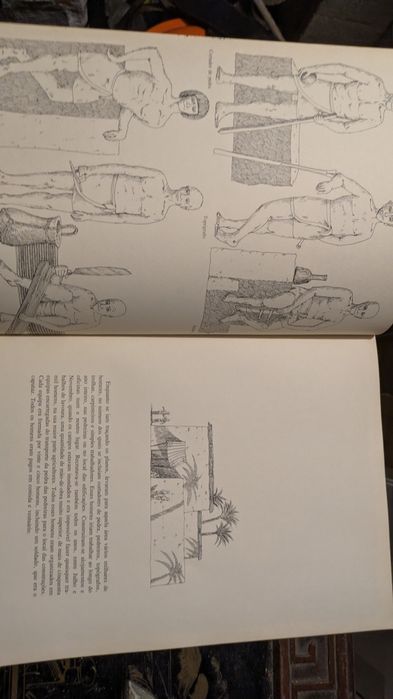 A Pirâmide de David Macaulay