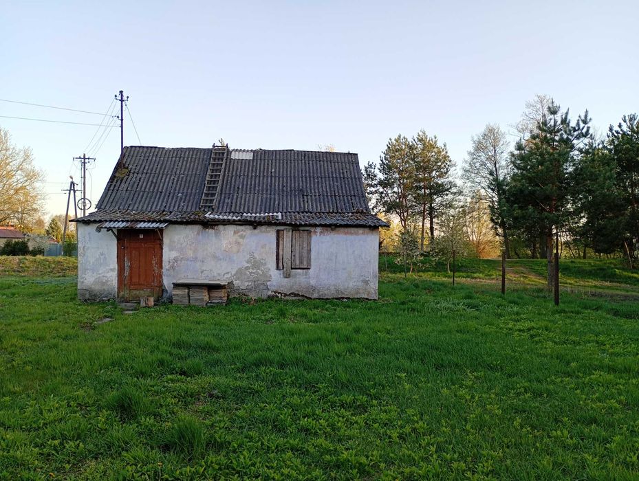 Siedlisko z działką 1,16 ha