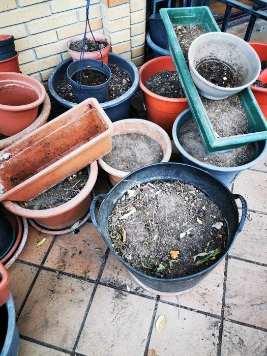 Inúmeros vasos em plástico - vários modelos e tamanhos