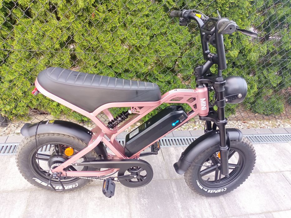 Fatbike v20 mini