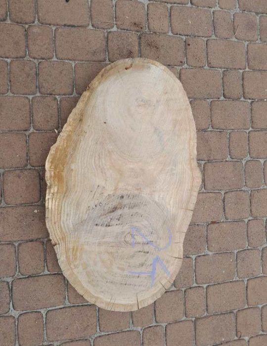 Plastry dębowe na stolik kawowy