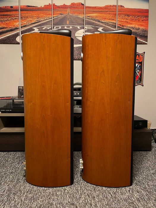 Kolumny podłogowe Bowers & Wilkins 804S