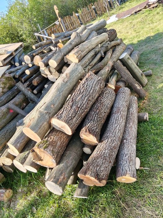 Owocowe jabłoń grusza do wędzenia; lisciaste kominkowow Orzeche