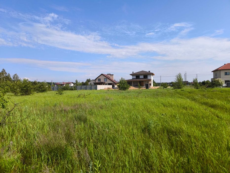 Ділянка біля лісу, заселена вулиця. Рівна.