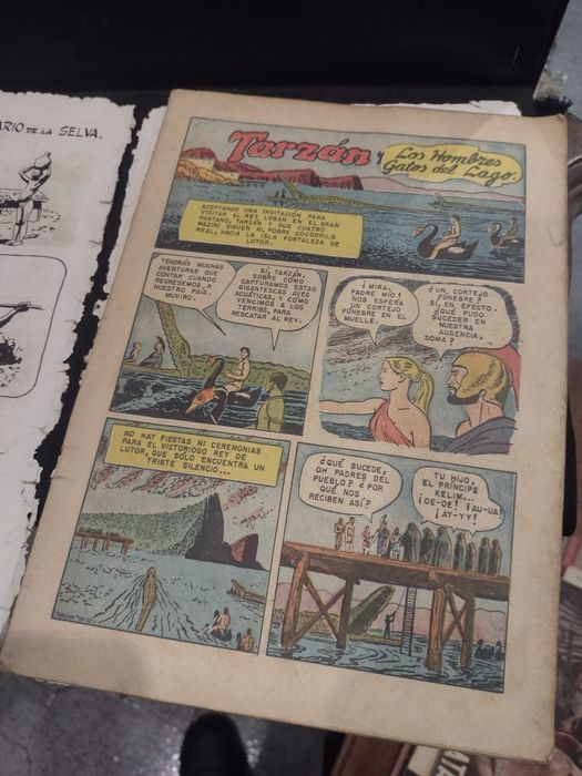 Tarzan "EMSA" Nº17 Edgar Rice Burroughs 1953