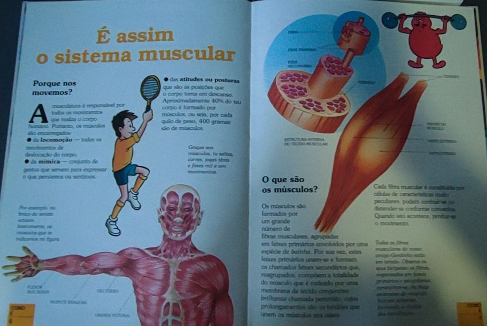 Enciclopédia "Era uma vez o corpo humano"