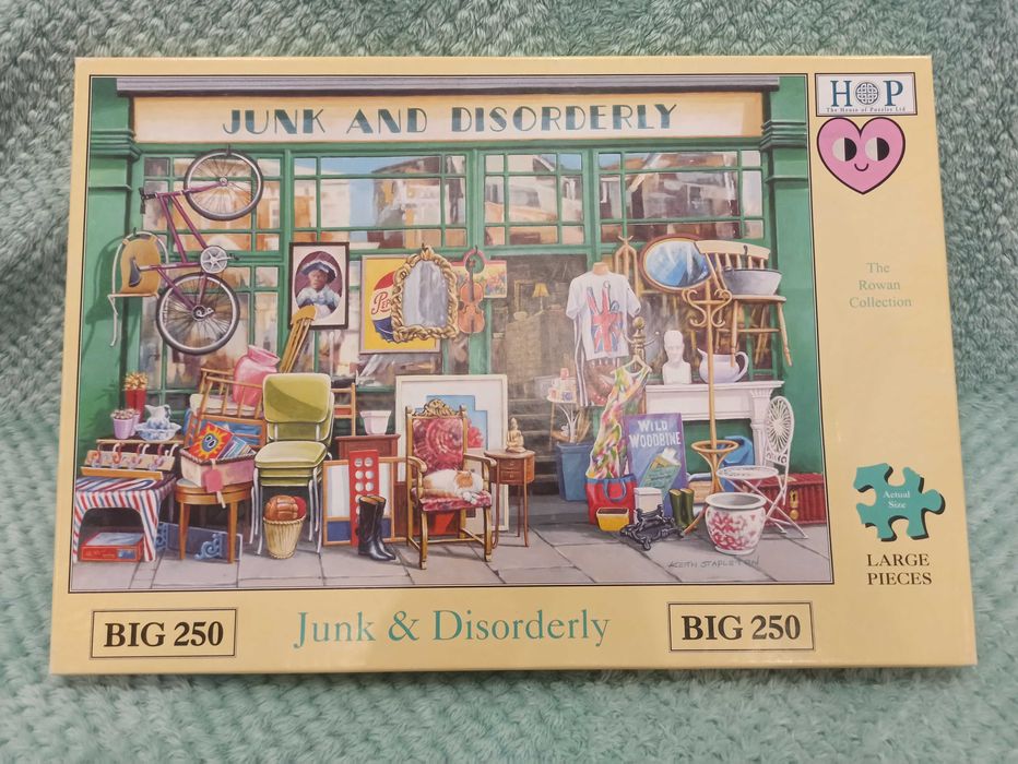 Пазл Junk & Disorderly на 250 ел (картон)