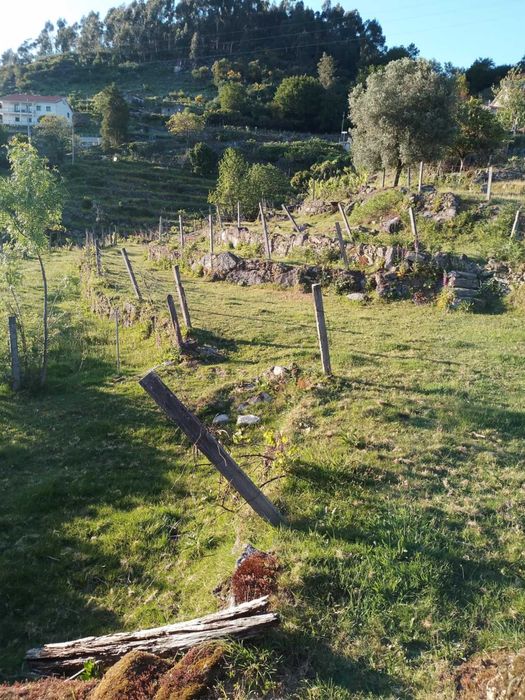 Venda de casa para reconstrução