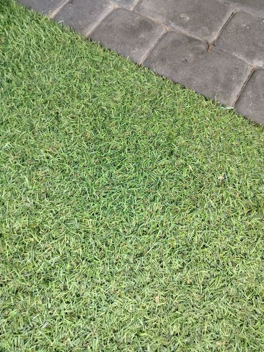 Sztuczna trawa rolka