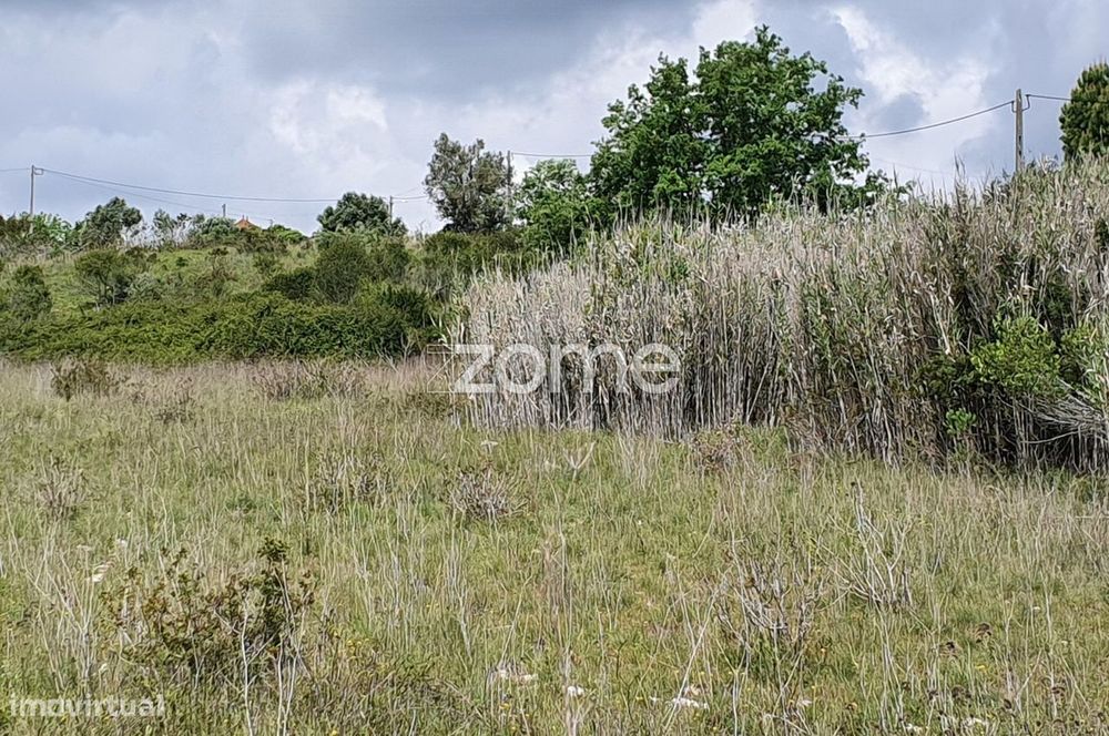 Terreno Rústico 6.840m2 Azambujeira Rio Maior Santarém