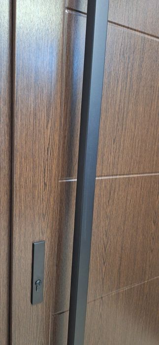 Польські вхідні металеві двері ERKADO