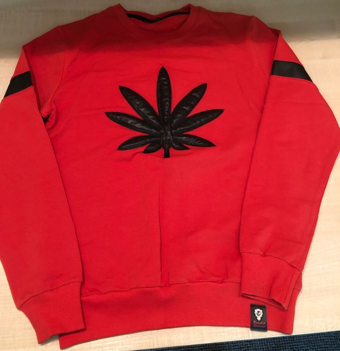 Pomarańczowa kosulka z nadrukiem