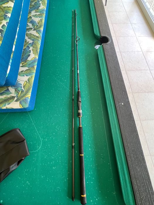 Cana Daiwa BG Seabass