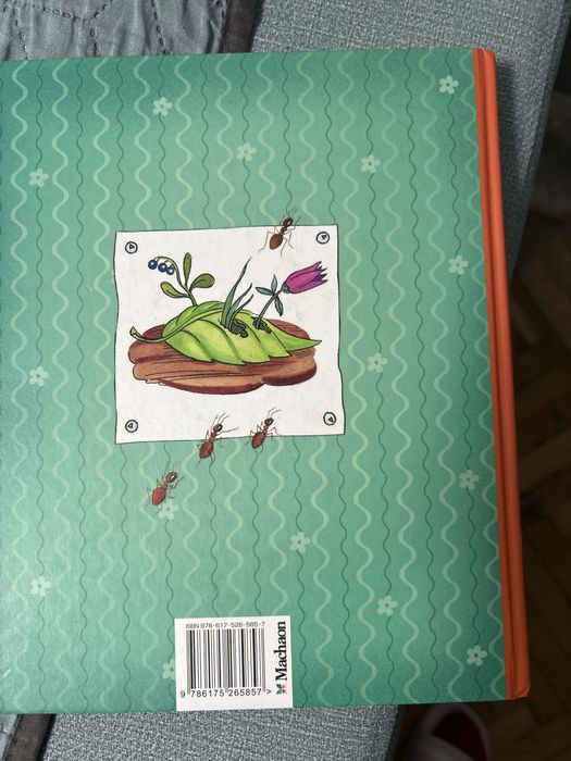 Незвичайні Пригоди Карика і Валі укр