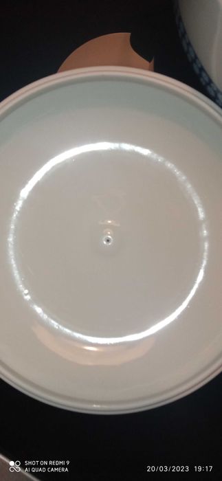 Terrina SP Coimbra (Miosótis)