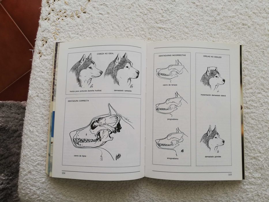 Livro do  Husky Siberiano