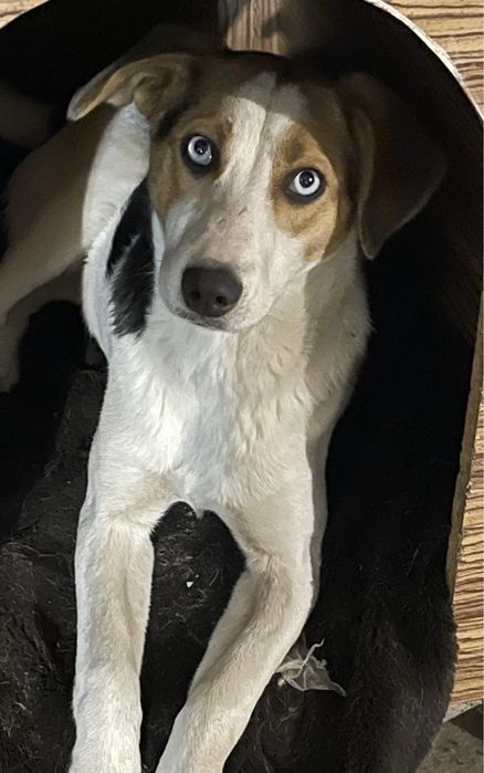 Прилаштовкється у добрі ручки !