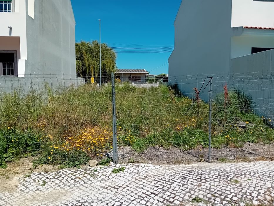 Limpeza de terrenos