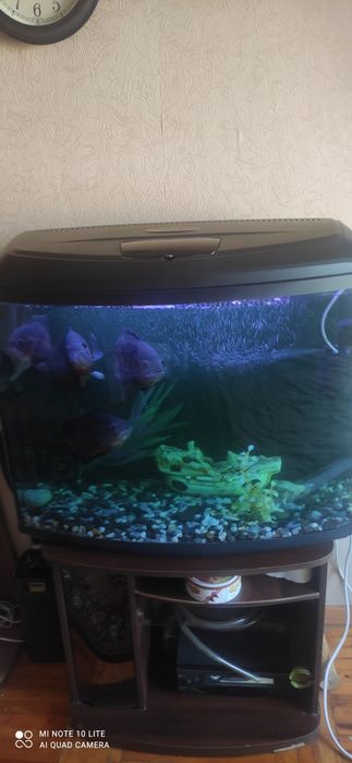 Аквариум на 120 литров