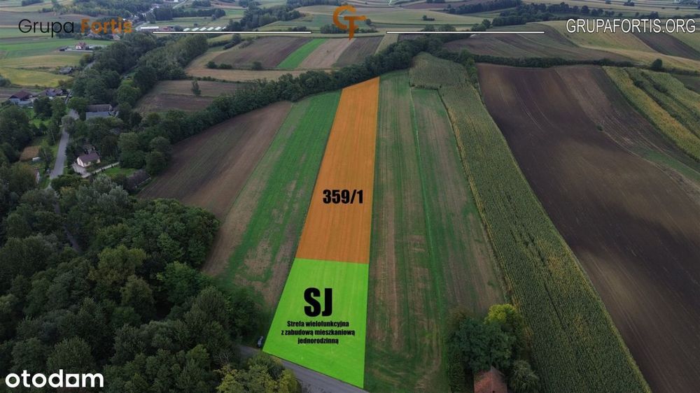 Działka | Plan Ogólny| 1,12 ha | Łapszów | Koszyce