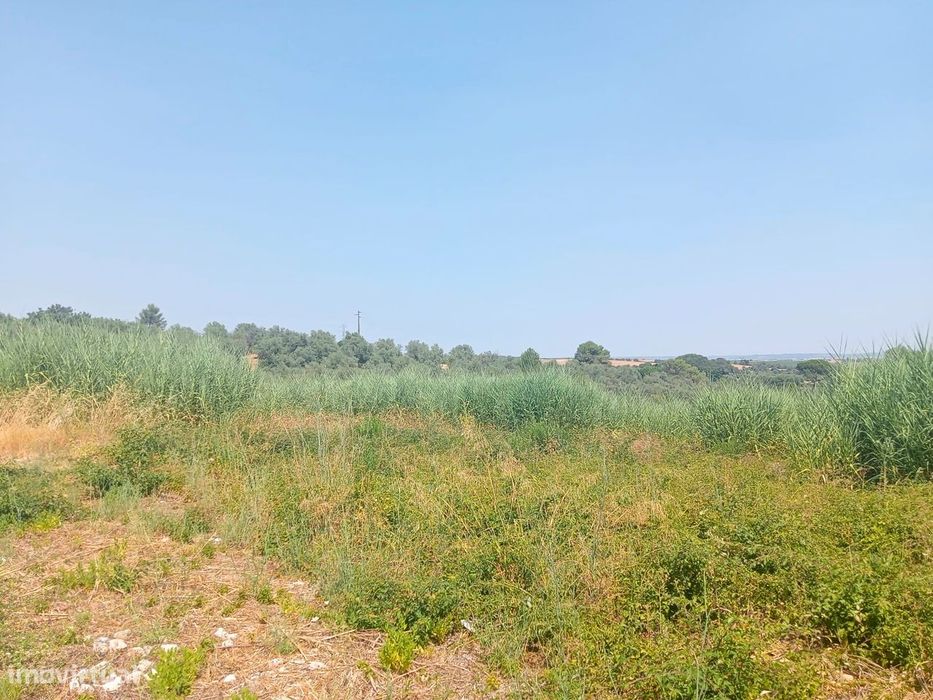 Terreno para Venda - 707 m²