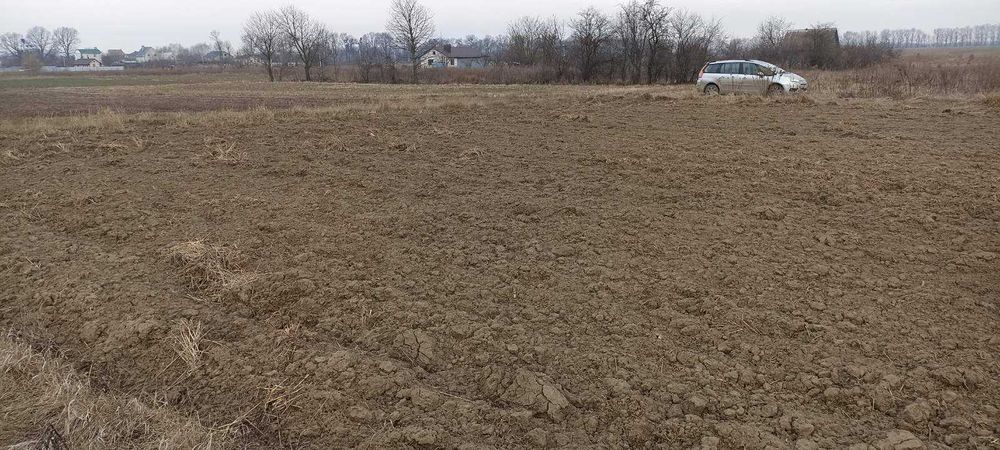 (5)  Продам земельну ділянку в Стрижавці 8916