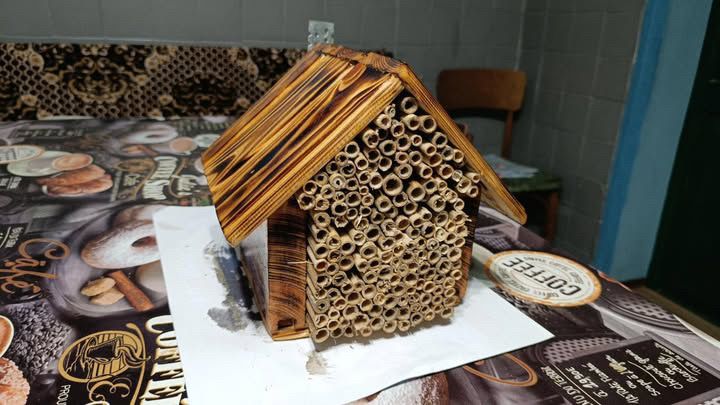 Трубочки для осмій Та готові будинки