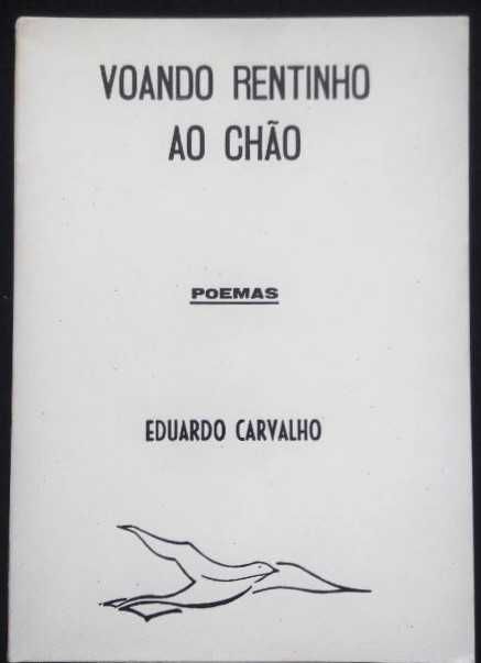 Eduardo Carvalho - Voando Rentinho ao chão