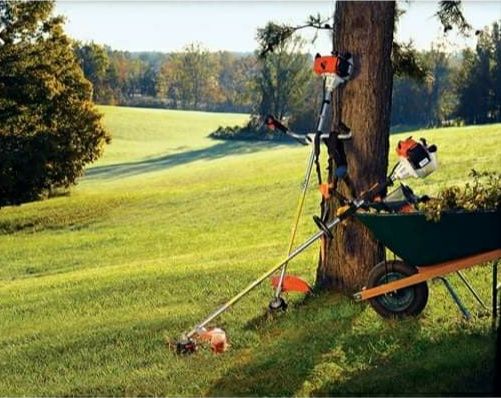 Обрізка дерев. Покіс трави, бурьяну. Стрижка газону. Стрижка кустів