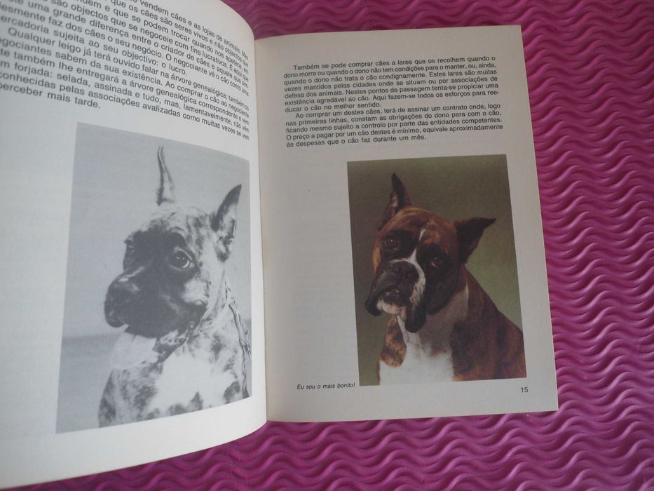 O Boxer por Horst Volkmann