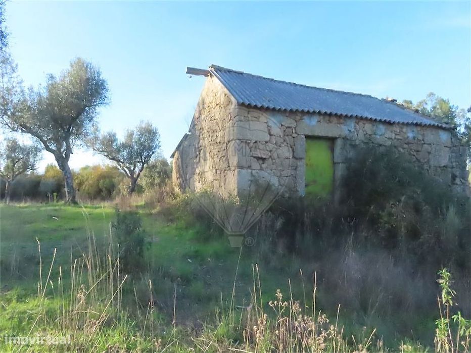 Quinta  para venda — Orca, Castelo Branco