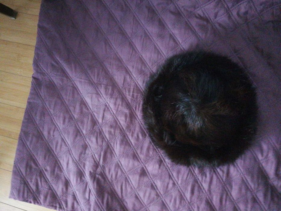 czapka toczek z lisa ciemny brąz / prawie czarna 55 cm