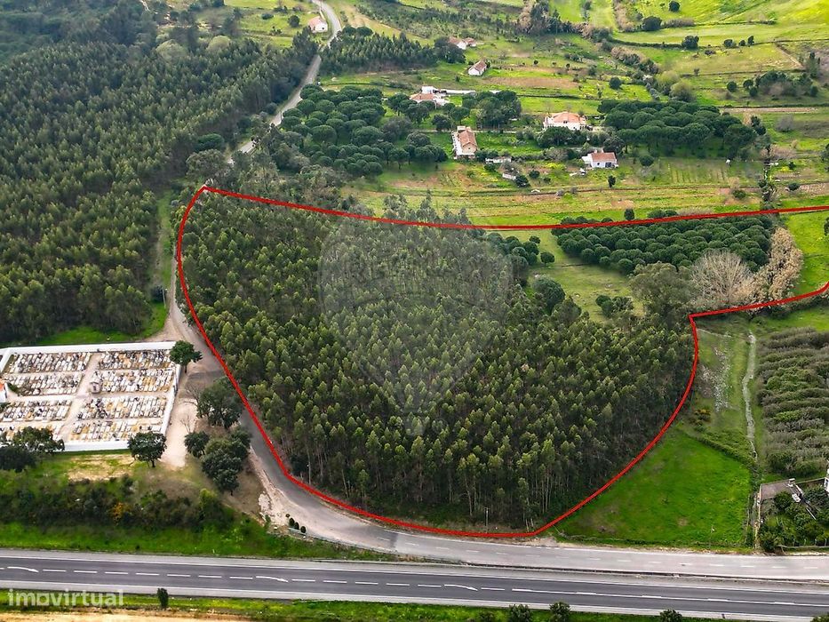 Terreno  para venda