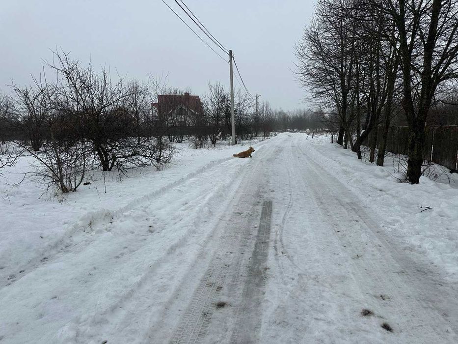 Продається земельна ділянка під будівництво в с. Хриплин 11,3 сот.(13)